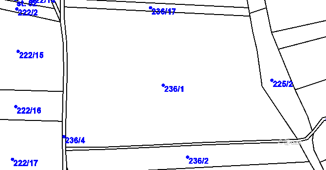 Parcela st. 236/1 v KÚ Černěves, Katastrální mapa