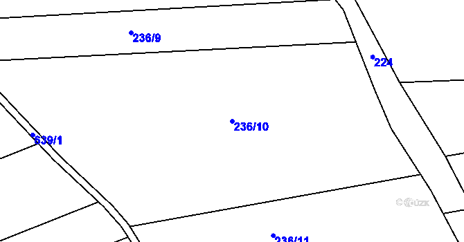 Parcela st. 236/10 v KÚ Černěves, Katastrální mapa
