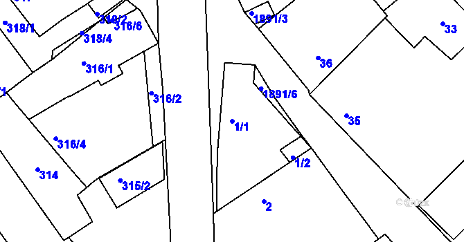 Parcela st. 1/1 v KÚ Černice, Katastrální mapa