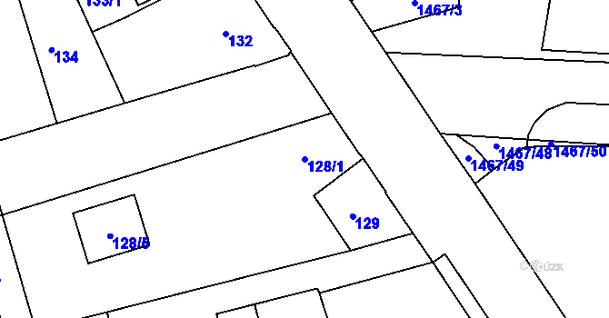 Parcela st. 128/1 v KÚ Černice, Katastrální mapa