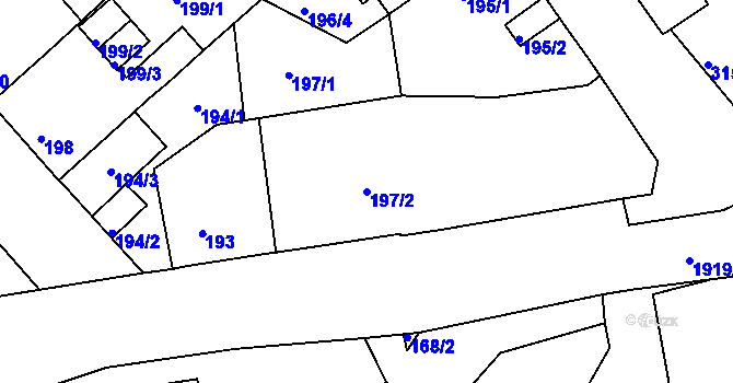 Parcela st. 197/2 v KÚ Černice, Katastrální mapa