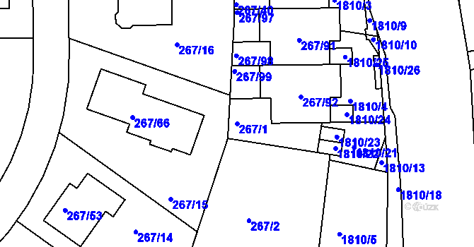 Parcela st. 267/1 v KÚ Černice, Katastrální mapa