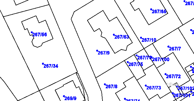 Parcela st. 267/9 v KÚ Černice, Katastrální mapa
