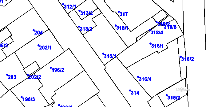 Parcela st. 313/1 v KÚ Černice, Katastrální mapa