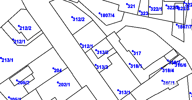 Parcela st. 313/2 v KÚ Černice, Katastrální mapa