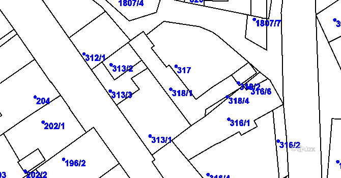 Parcela st. 318/1 v KÚ Černice, Katastrální mapa