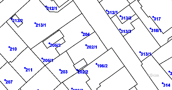 Parcela st. 202/1 v KÚ Černice, Katastrální mapa