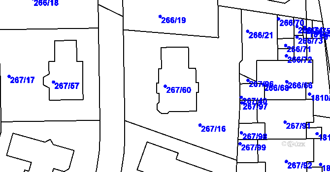 Parcela st. 267/60 v KÚ Černice, Katastrální mapa
