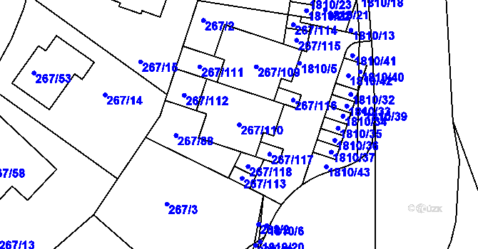 Parcela st. 267/110 v KÚ Černice, Katastrální mapa