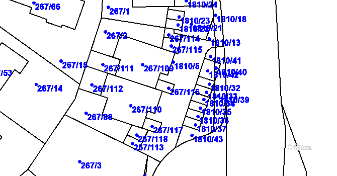 Parcela st. 267/116 v KÚ Černice, Katastrální mapa
