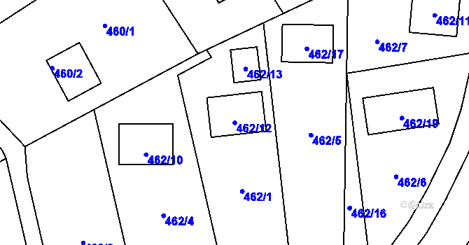 Parcela st. 462/12 v KÚ Radobyčice, Katastrální mapa