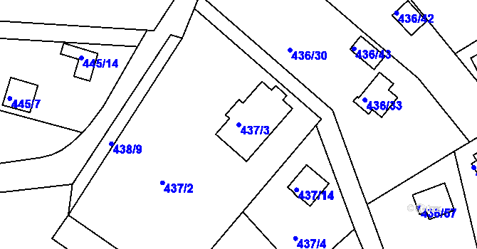 Parcela st. 437/3 v KÚ Radobyčice, Katastrální mapa