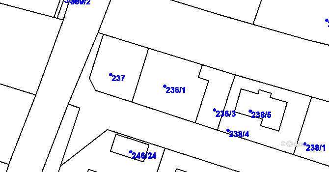 Parcela st. 236/1 v KÚ Radobyčice, Katastrální mapa