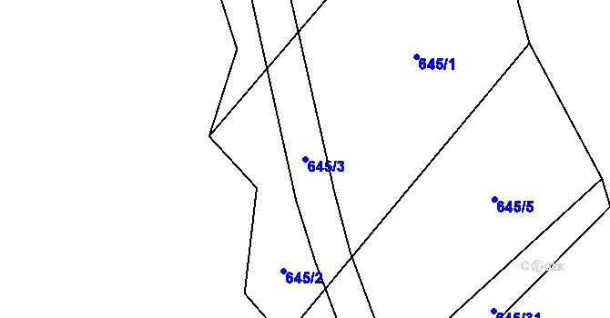 Parcela st. 645/3 v KÚ Černičí, Katastrální mapa