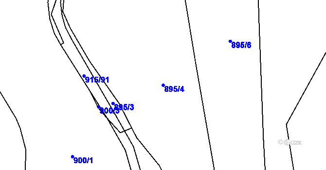 Parcela st. 895/4 v KÚ Černičí, Katastrální mapa