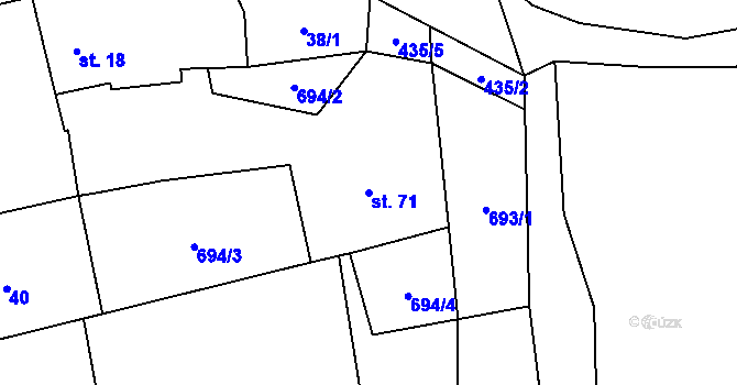 Parcela st. 71 v KÚ Černíkov, Katastrální mapa