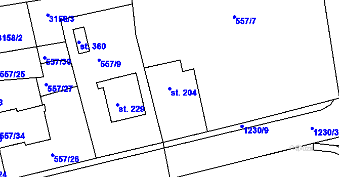 Parcela st. 204 v KÚ Černíkovice, Katastrální mapa