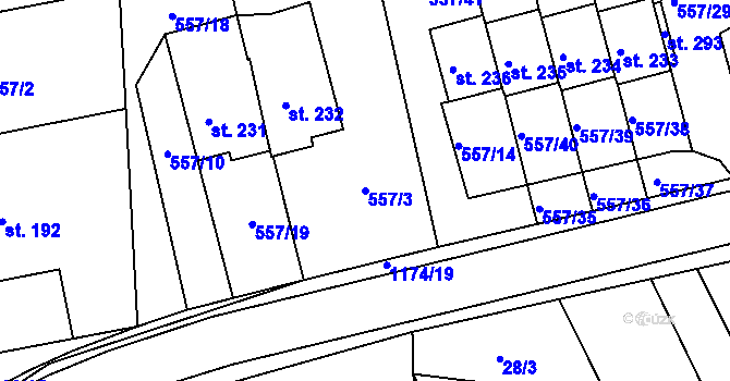 Parcela st. 557/3 v KÚ Černíkovice, Katastrální mapa