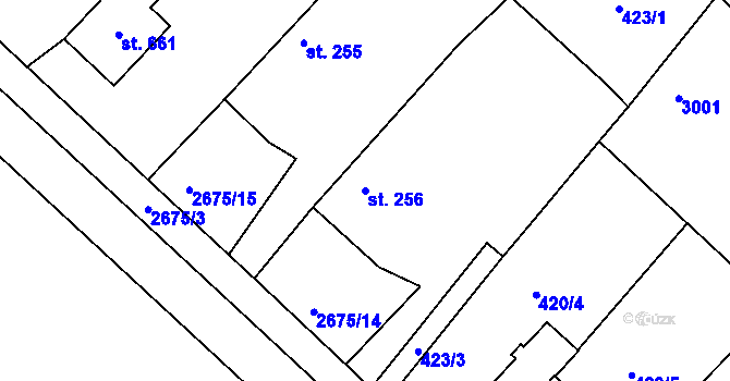 Parcela st. 256 v KÚ Černilov, Katastrální mapa