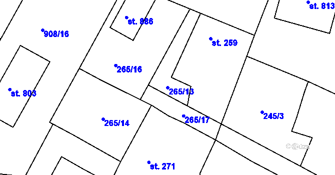 Parcela st. 265/13 v KÚ Černilov, Katastrální mapa