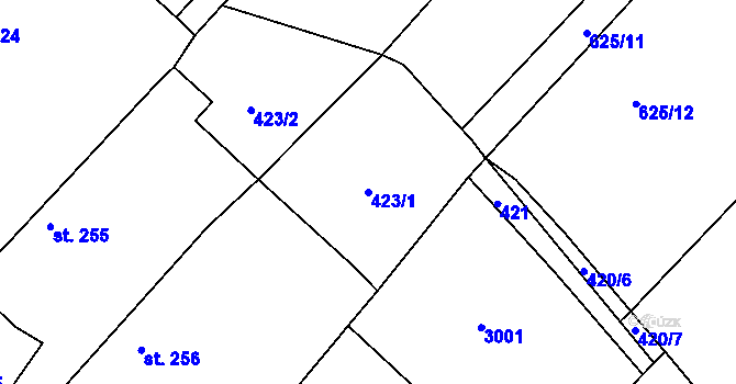 Parcela st. 423/1 v KÚ Černilov, Katastrální mapa