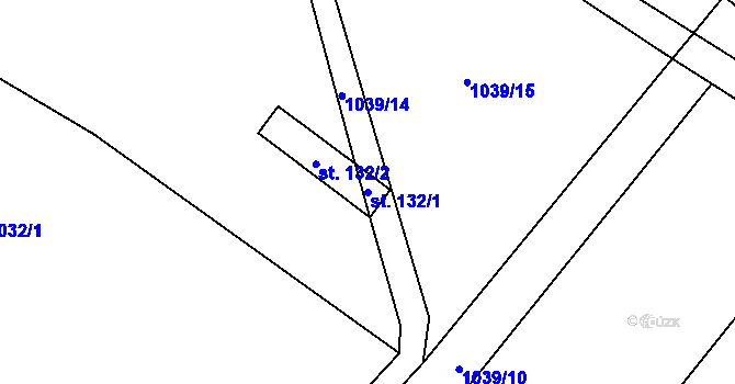 Parcela st. 132/1 v KÚ Černín, Katastrální mapa