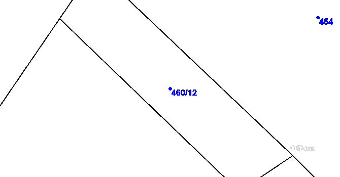 Parcela st. 460/12 v KÚ Černín, Katastrální mapa