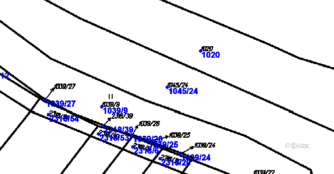 Parcela st. 1045/24 v KÚ Černín, Katastrální mapa