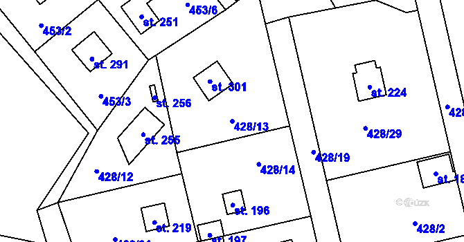 Parcela st. 428/13 v KÚ Černíny, Katastrální mapa