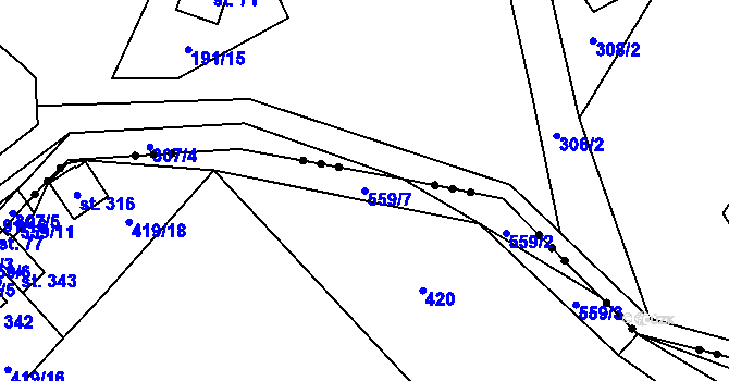 Parcela st. 559/7 v KÚ Černíny, Katastrální mapa