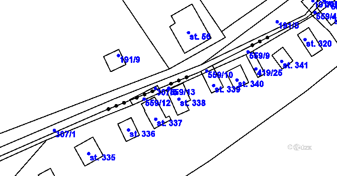 Parcela st. 559/13 v KÚ Černíny, Katastrální mapa