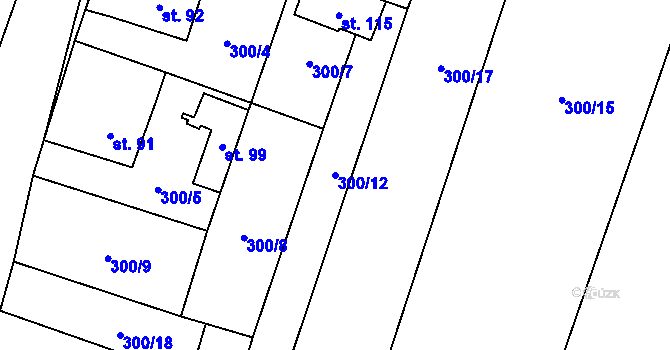 Parcela st. 300/12 v KÚ Černiv, Katastrální mapa