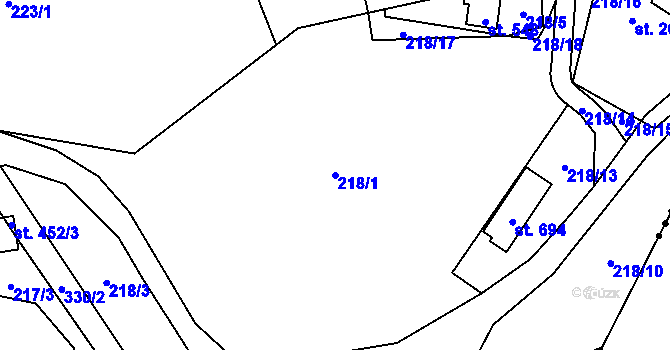 Parcela st. 218/1 v KÚ Černolice, Katastrální mapa