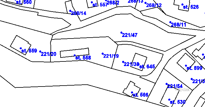 Parcela st. 221/19 v KÚ Černolice, Katastrální mapa