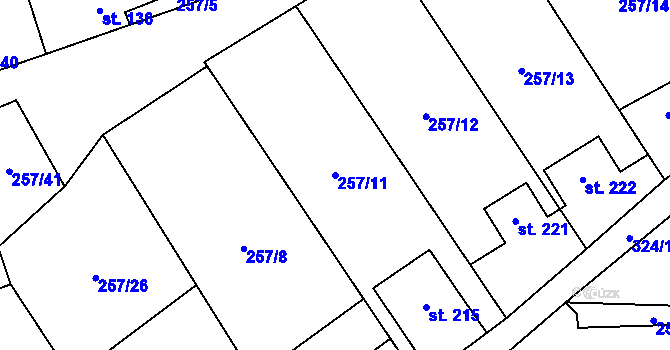 Parcela st. 257/11 v KÚ Černolice, Katastrální mapa