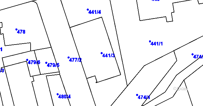 Parcela st. 441/3 v KÚ Černošice, Katastrální mapa