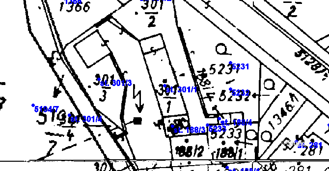 Parcela st. 301/1 v KÚ Černošín, Katastrální mapa