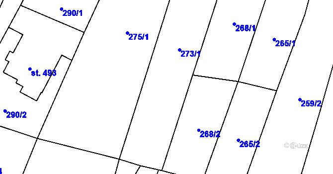 Parcela st. 273/2 v KÚ Černošín, Katastrální mapa
