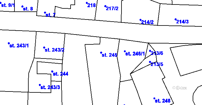 Parcela st. 245 v KÚ Černovice u Tábora, Katastrální mapa