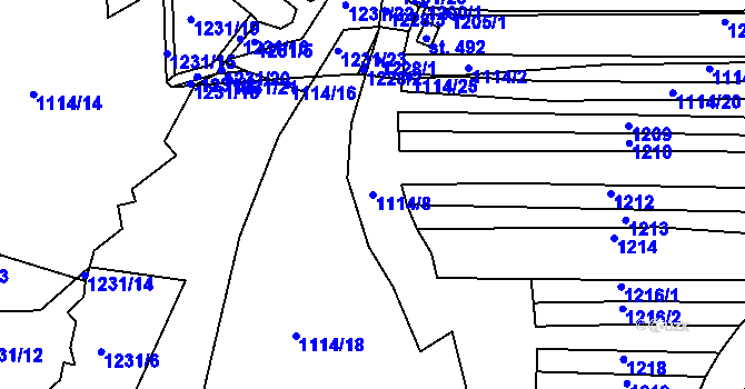 Parcela st. 1114/8 v KÚ Černovice u Tábora, Katastrální mapa