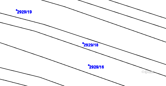 Parcela st. 2929/18 v KÚ Černovice u Tábora, Katastrální mapa