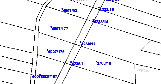 Parcela st. 4238/12 v KÚ Černovice u Tábora, Katastrální mapa