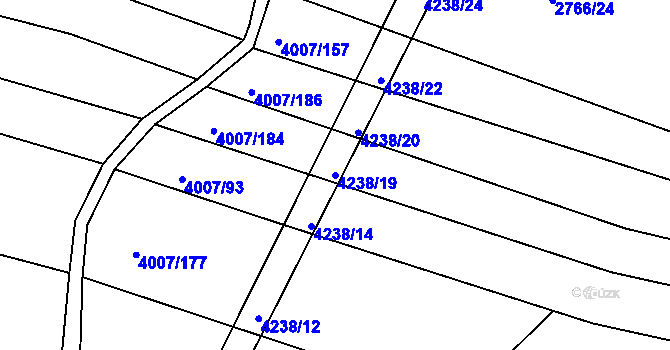 Parcela st. 4238/19 v KÚ Černovice u Tábora, Katastrální mapa
