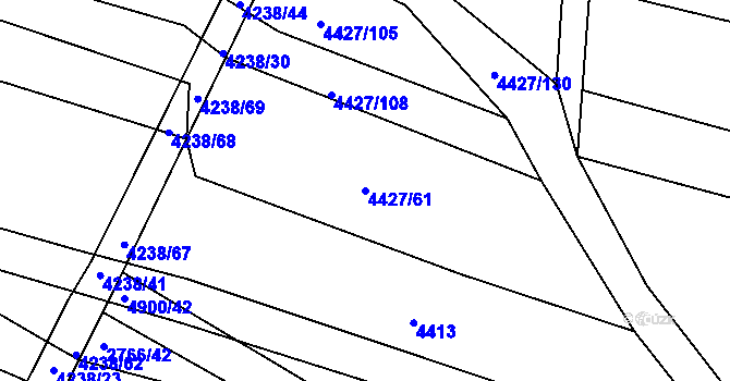 Parcela st. 4427/61 v KÚ Černovice u Tábora, Katastrální mapa