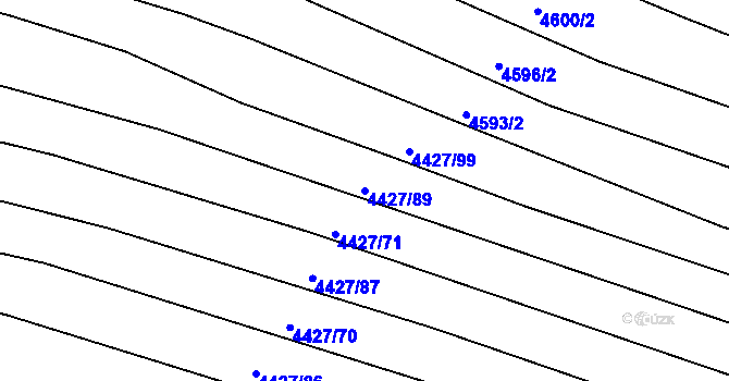 Parcela st. 4427/89 v KÚ Černovice u Tábora, Katastrální mapa
