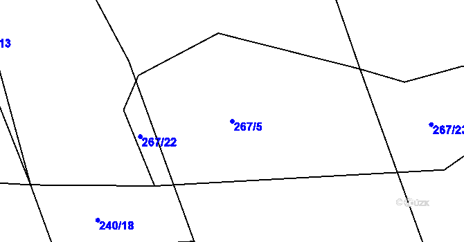 Parcela st. 267/5 v KÚ Svatava u Černovic, Katastrální mapa