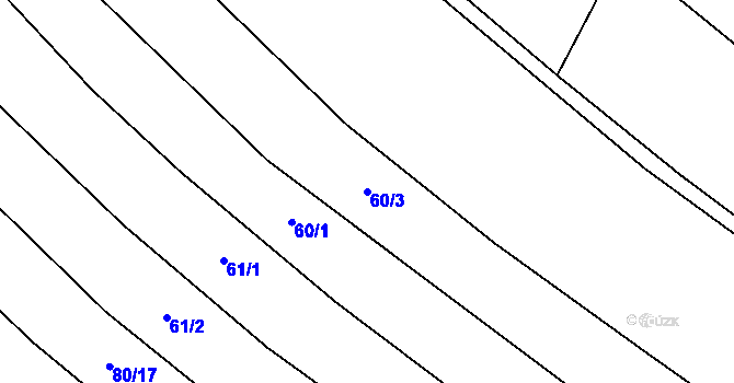 Parcela st. 60/3 v KÚ Svatava u Černovic, Katastrální mapa