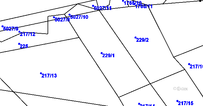 Parcela st. 229/1 v KÚ Svatava u Černovic, Katastrální mapa