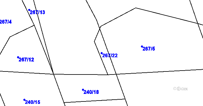Parcela st. 267/22 v KÚ Svatava u Černovic, Katastrální mapa