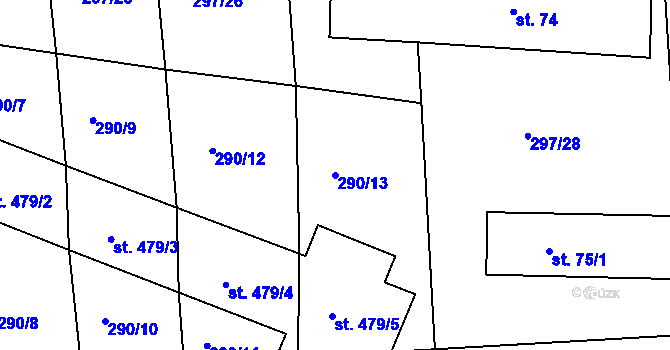 Parcela st. 290/13 v KÚ Svatava u Černovic, Katastrální mapa